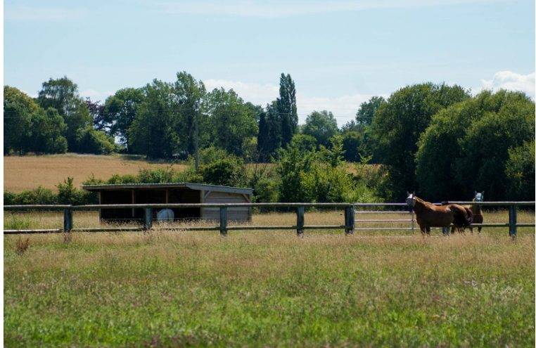 Equestrian property  Calvados
