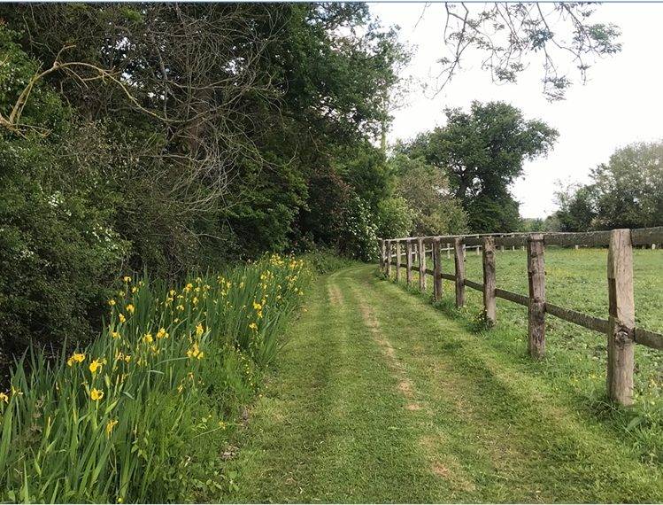 Equestrian property  Calvados