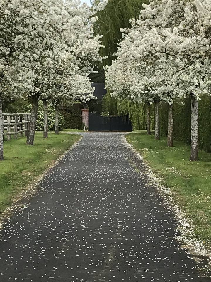 Equestrian property  Calvados