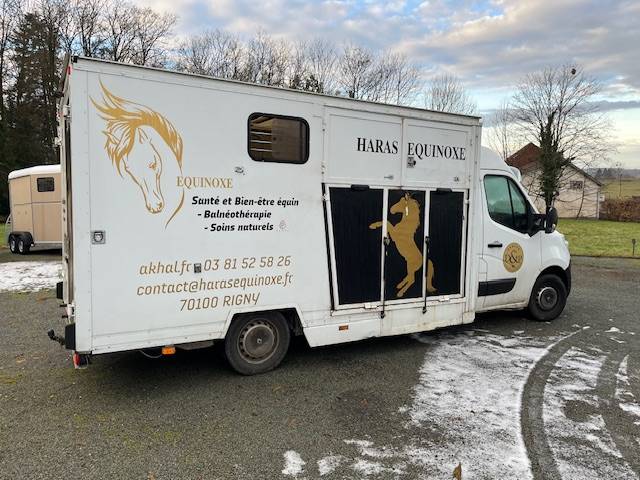Horsebox HGV Renault Master  2018 Used