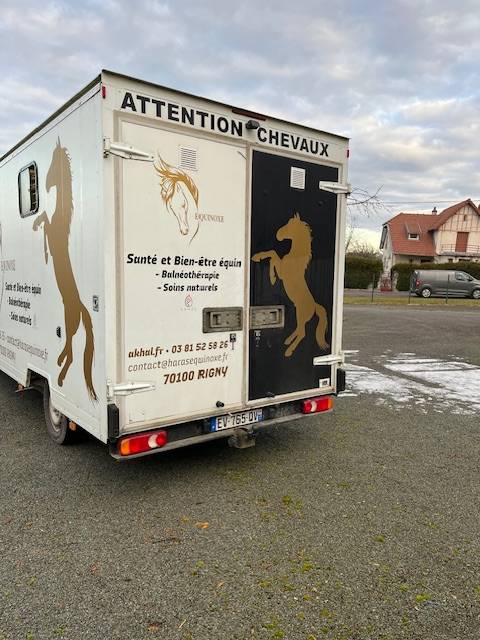 Horsebox HGV Renault Master  2018 Used