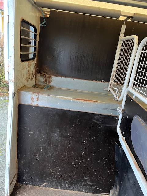 Horsebox HGV Renault Master  2018 Used