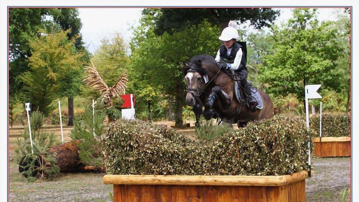 Utrillo d'Arquetan - French Saddle Pony 2008 by Gribouille Villaud