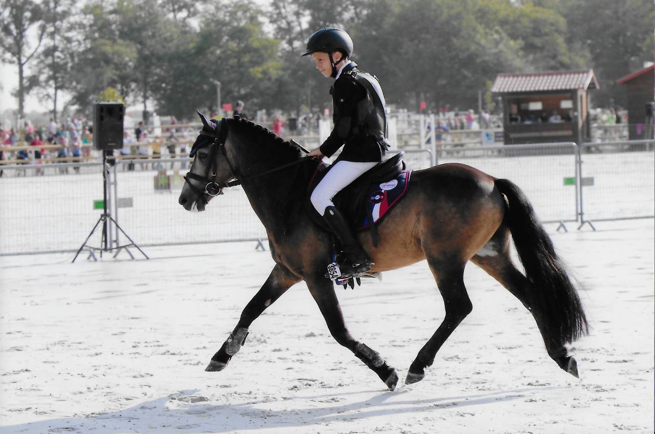 Utrillo d'Arquetan - French Saddle Pony 2008 by Gribouille Villaud
