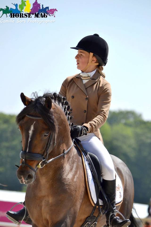 Secret d'Arquetan - French Saddle Pony 2006 by GEDEON DES MAUVIS