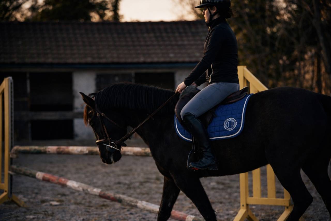 Mare Origin Recorded For sale 2021 Black