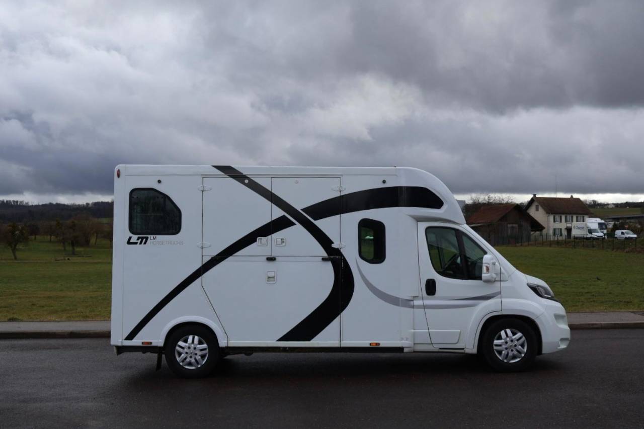 Horsebox HGV Theault THEAULT PROTEO 3.0 180CH 2015 Used