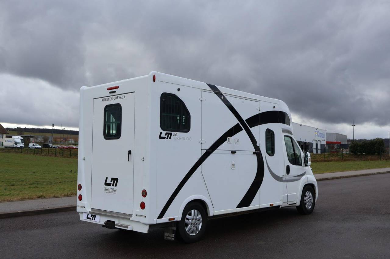 Horsebox HGV Theault THEAULT PROTEO 3.0 180CH 2015 Used
