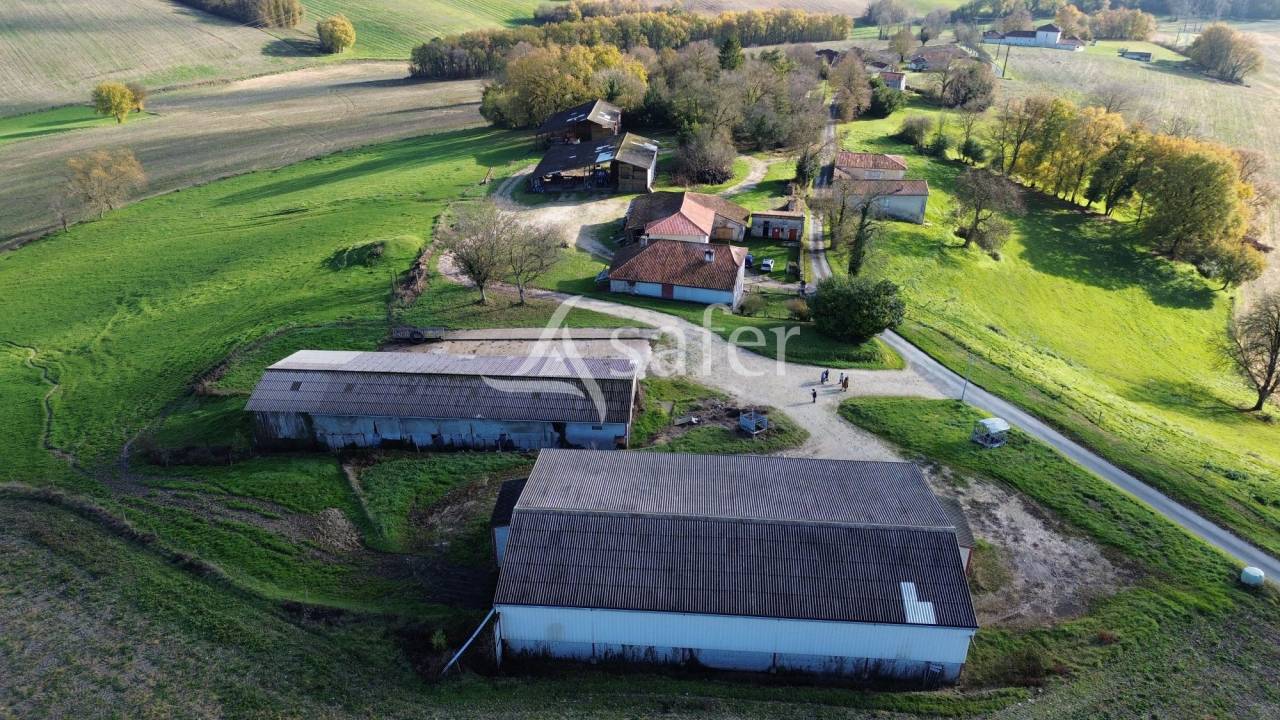 Sheep farm  Dordogne