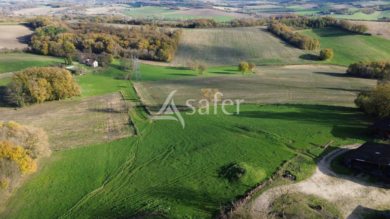 Sheep farm  Dordogne