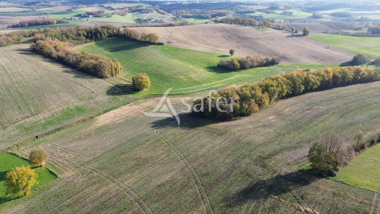 Sheep farm  Dordogne