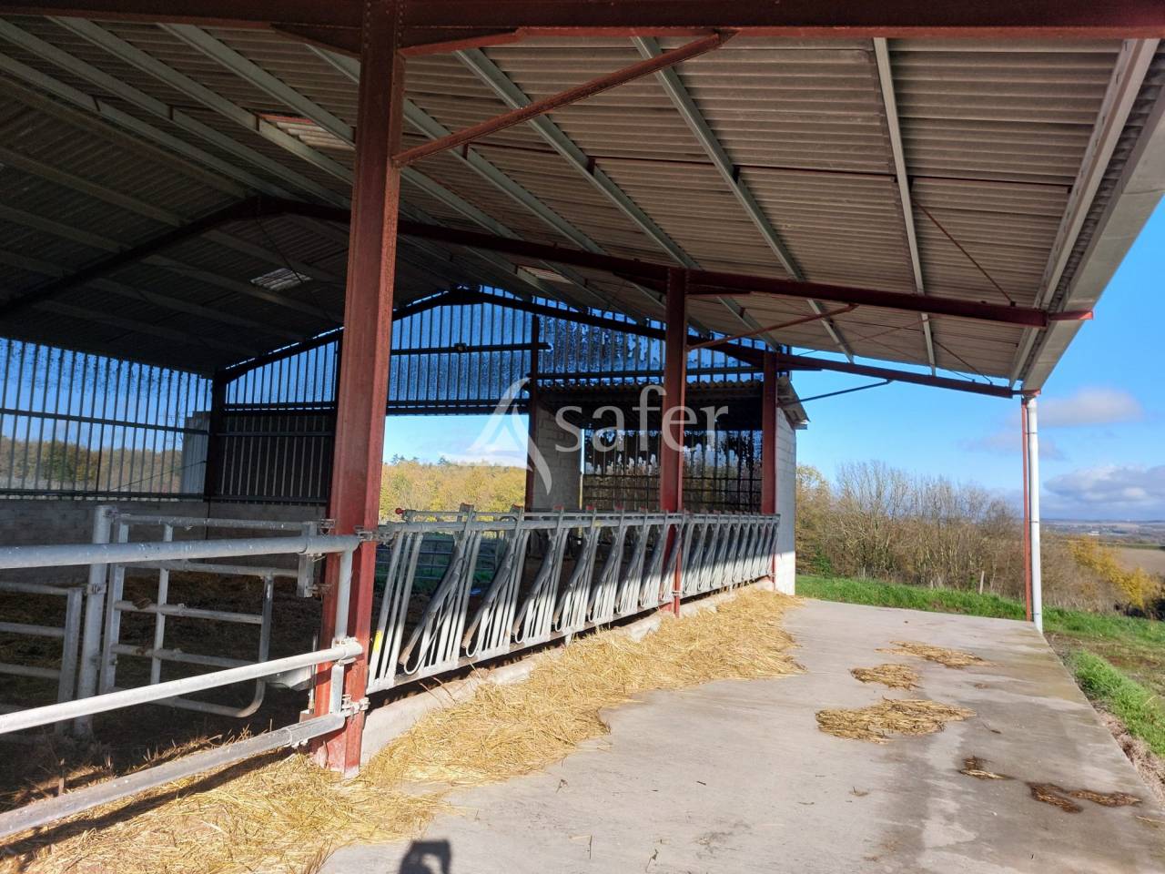 Sheep farm  Dordogne