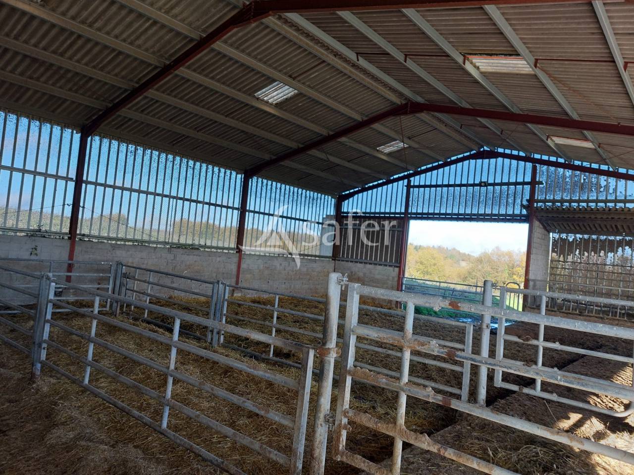 Sheep farm  Dordogne