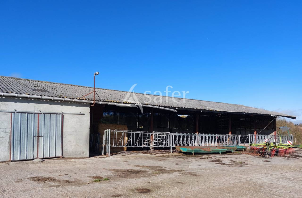 Sheep farm  Dordogne