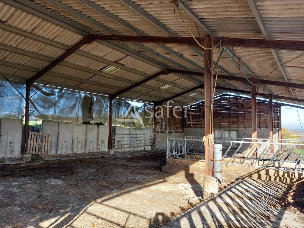 Sheep farm  Dordogne