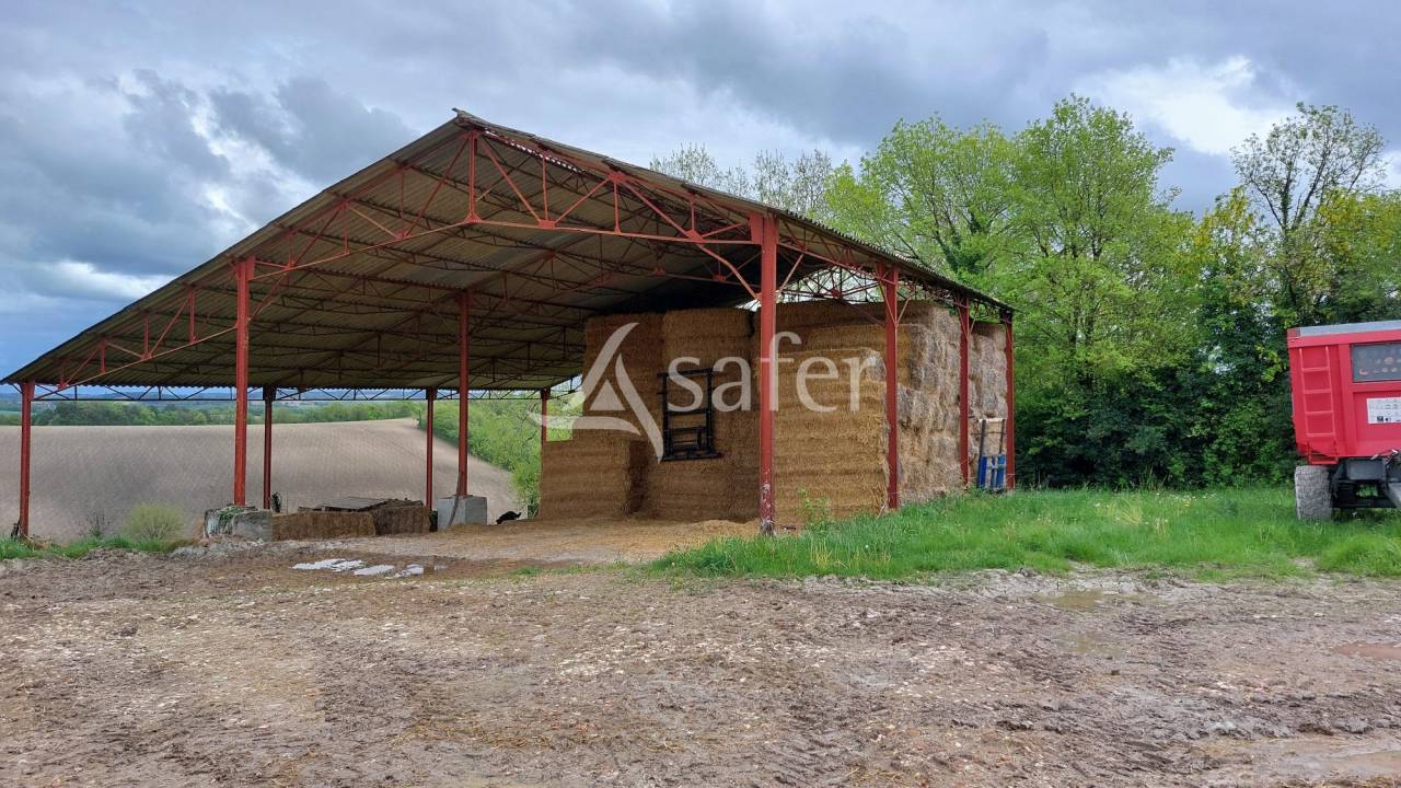 Sheep farm  Dordogne