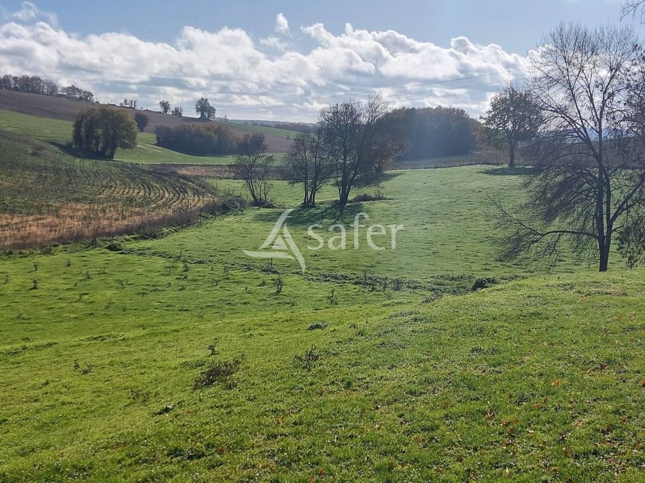 Sheep farm  Dordogne
