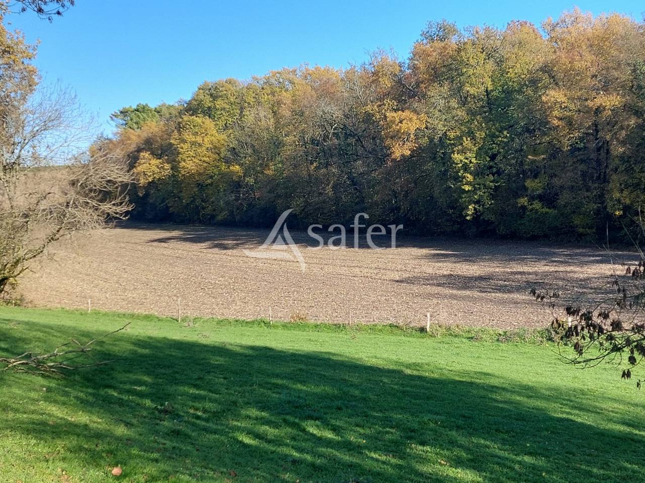 Sheep farm  Dordogne