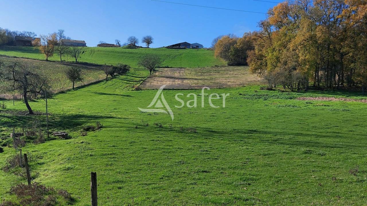 Sheep farm  Dordogne