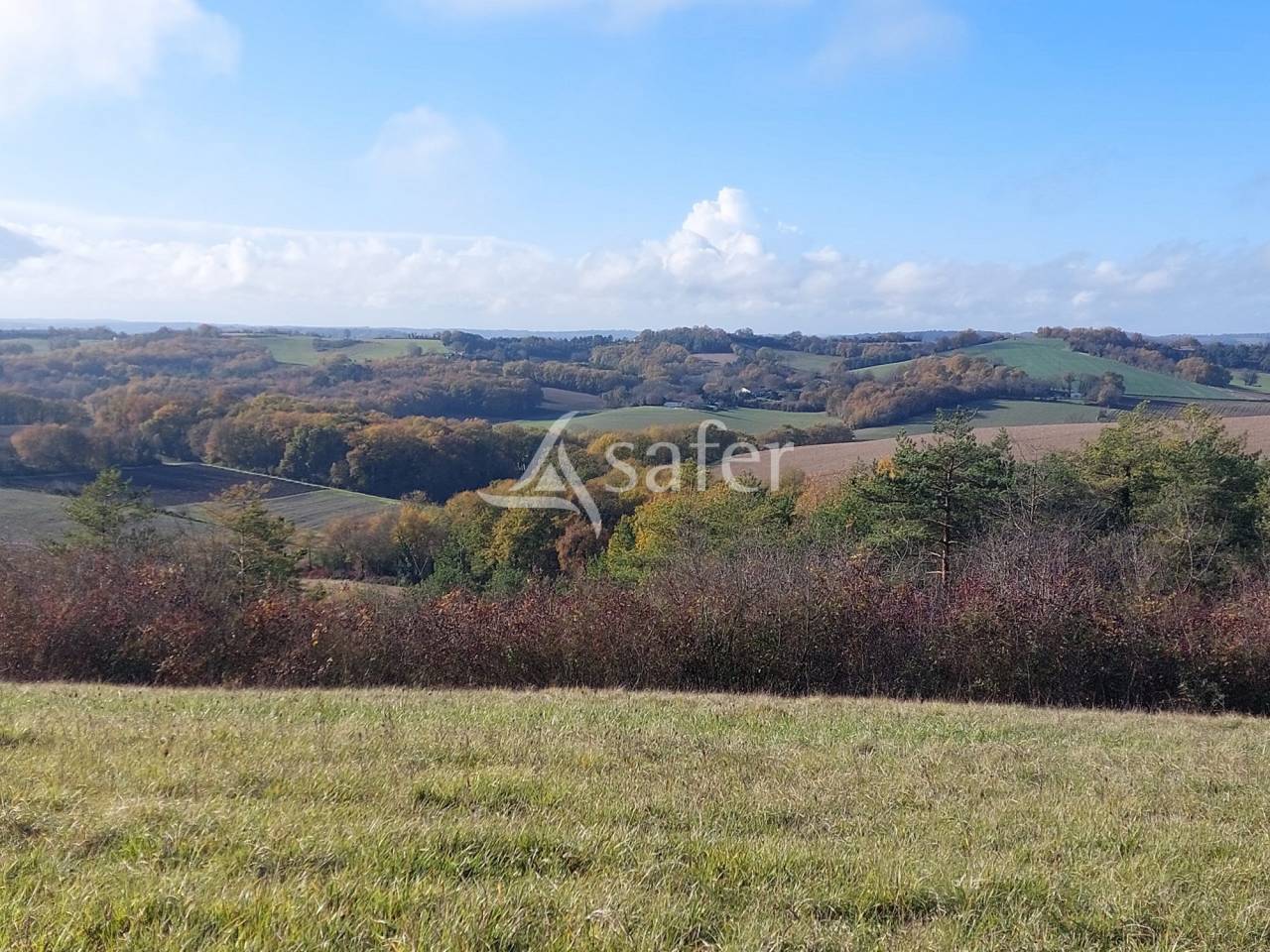 Sheep farm  Dordogne