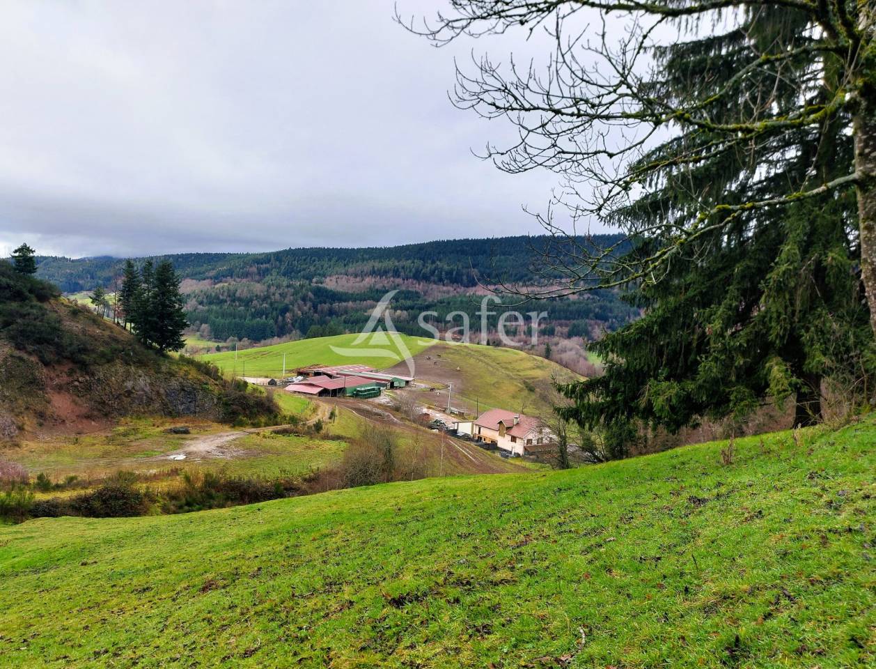 Equestrian property  Vosges