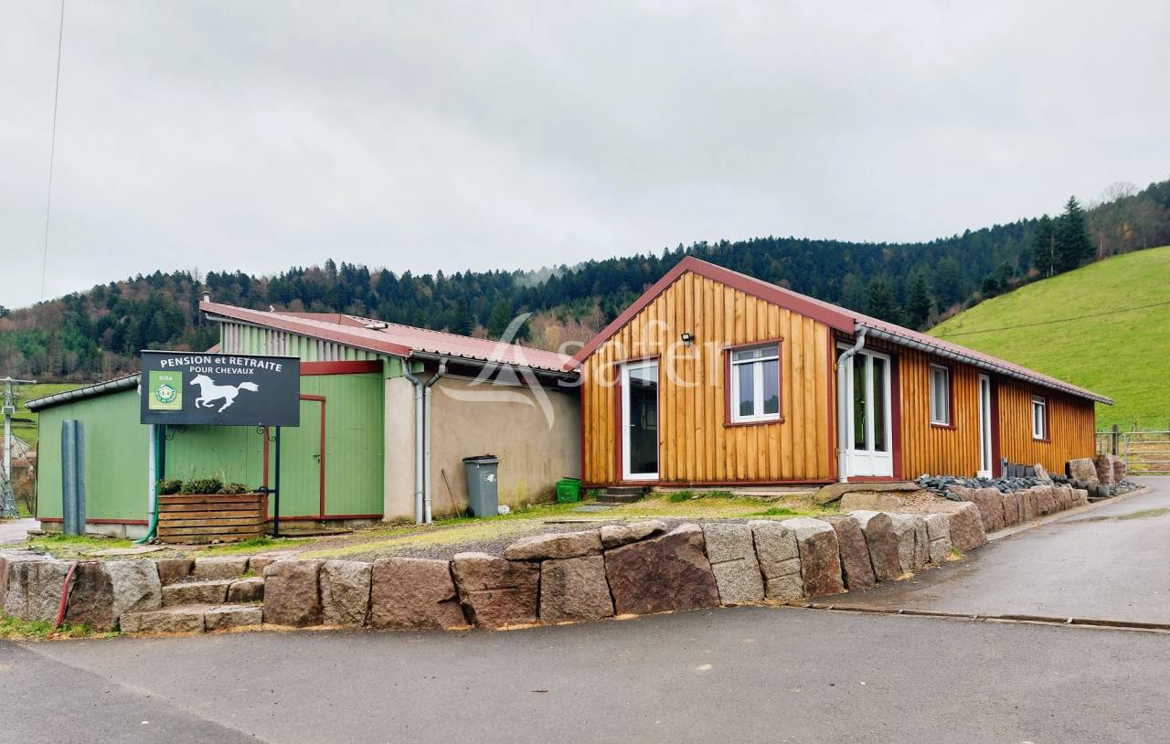 Equestrian property  Vosges