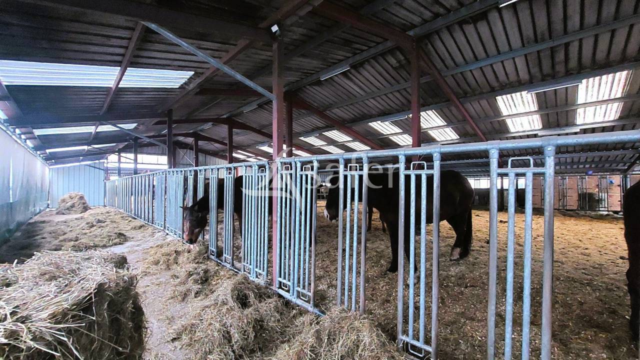 Equestrian property  Vosges