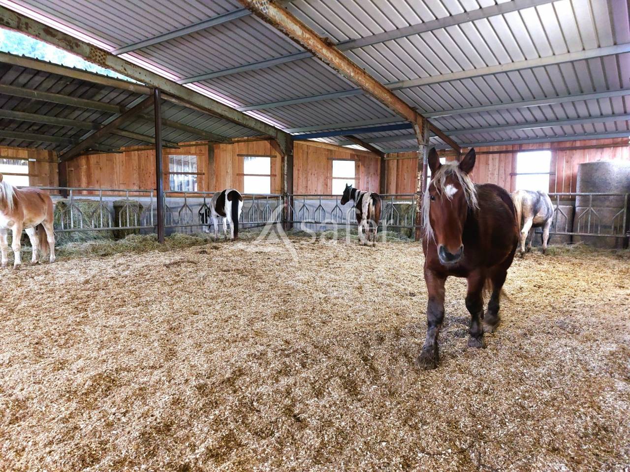 Equestrian property  Vosges