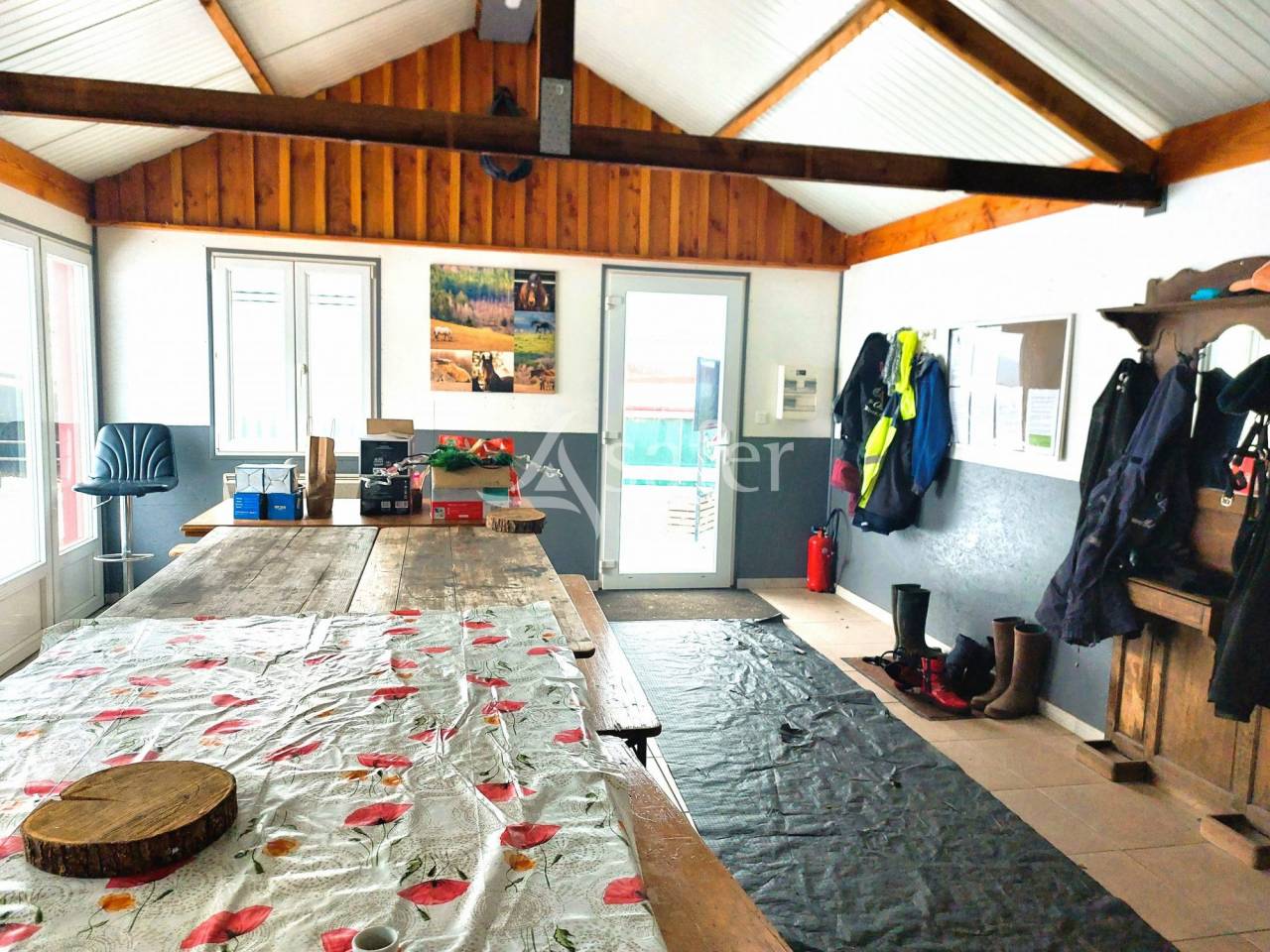 Equestrian property  Vosges