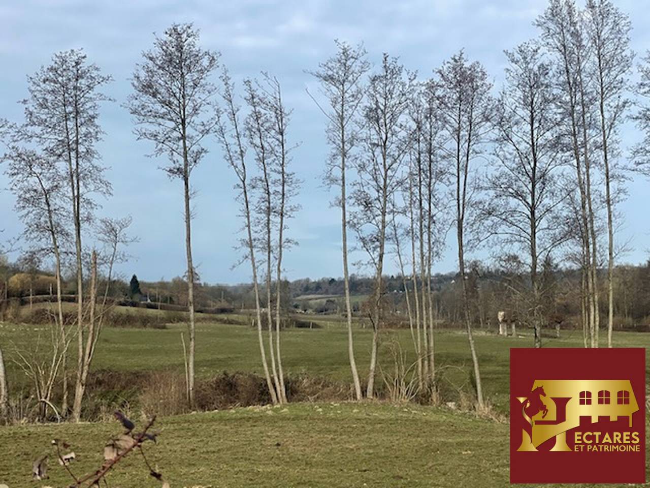 Equestrian property  Calvados