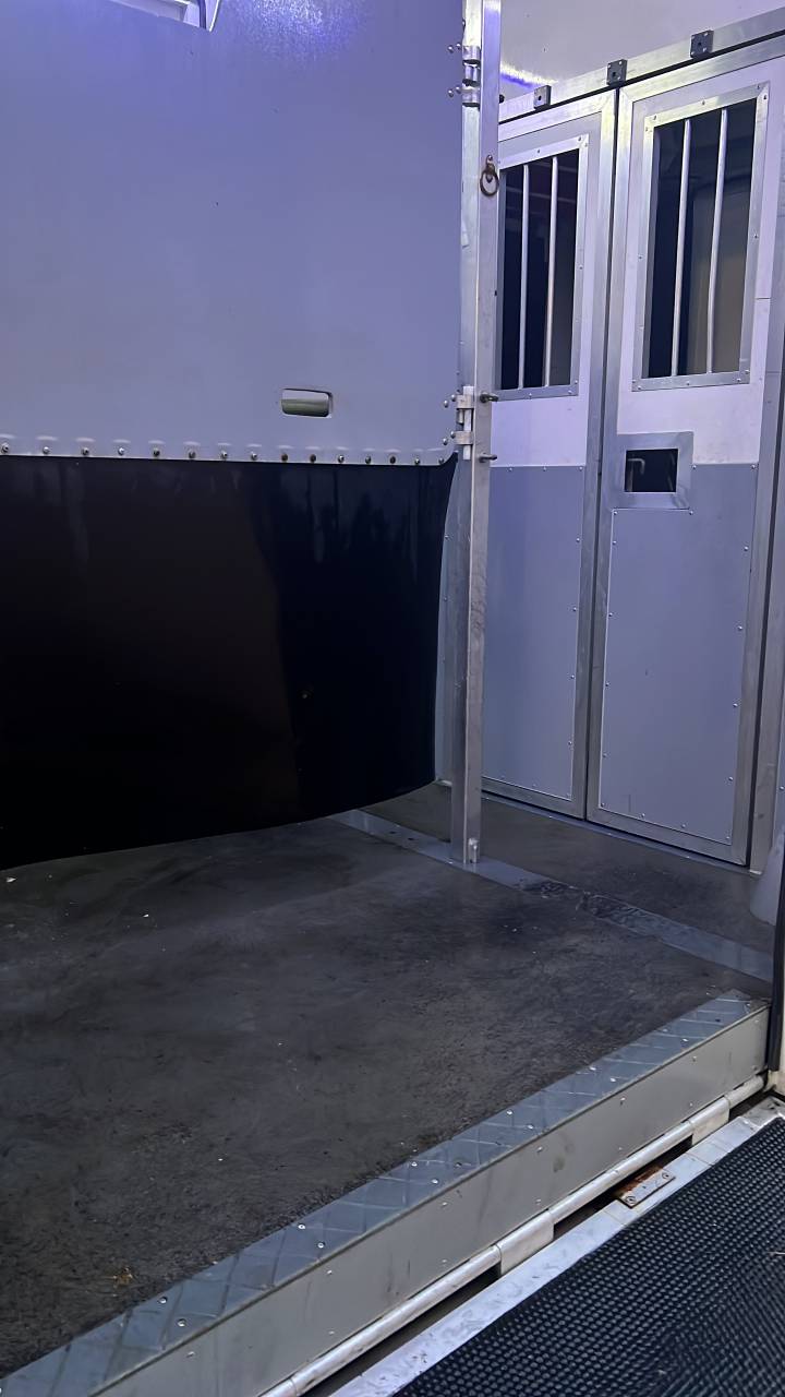 Horsebox HGV Renault Master 2020 Used