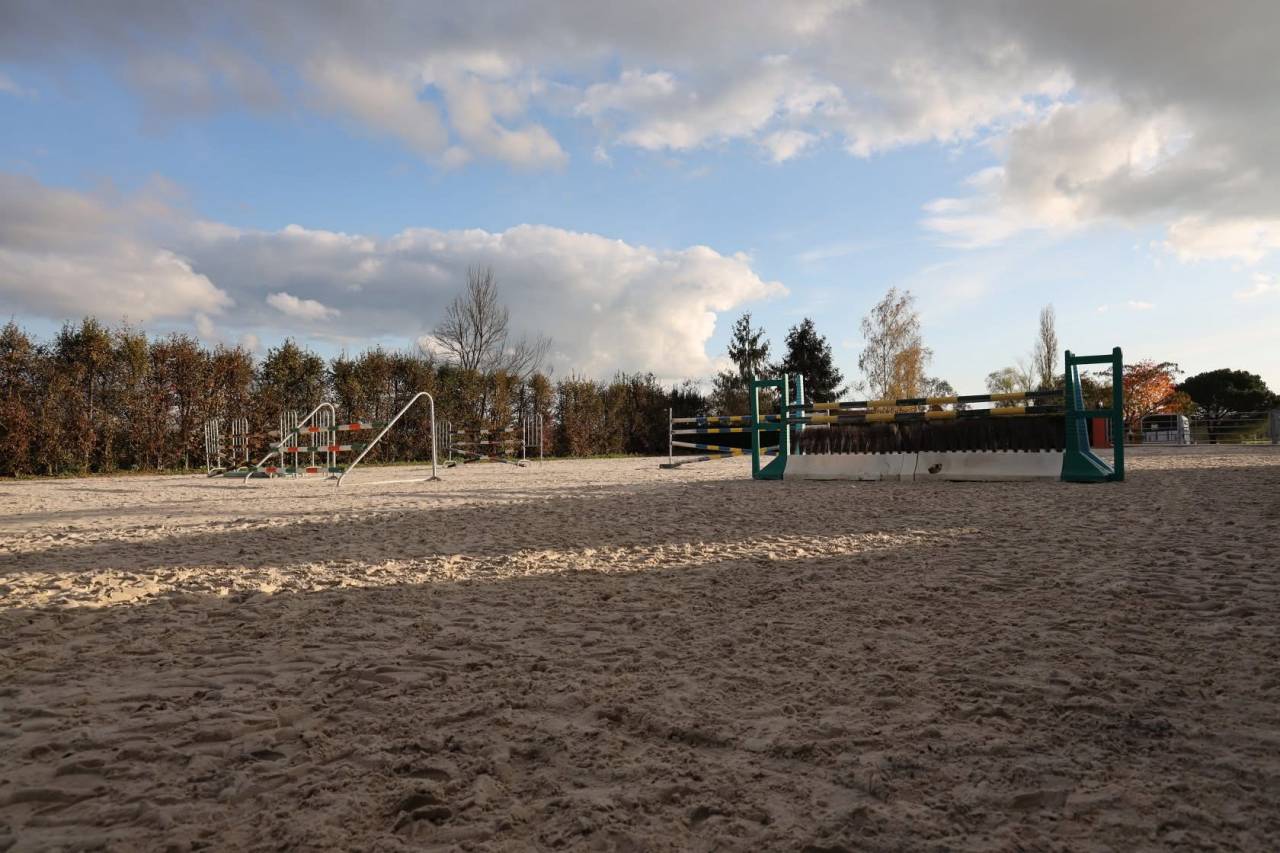 Stud farm  Sa&ocirc;ne-et-Loire