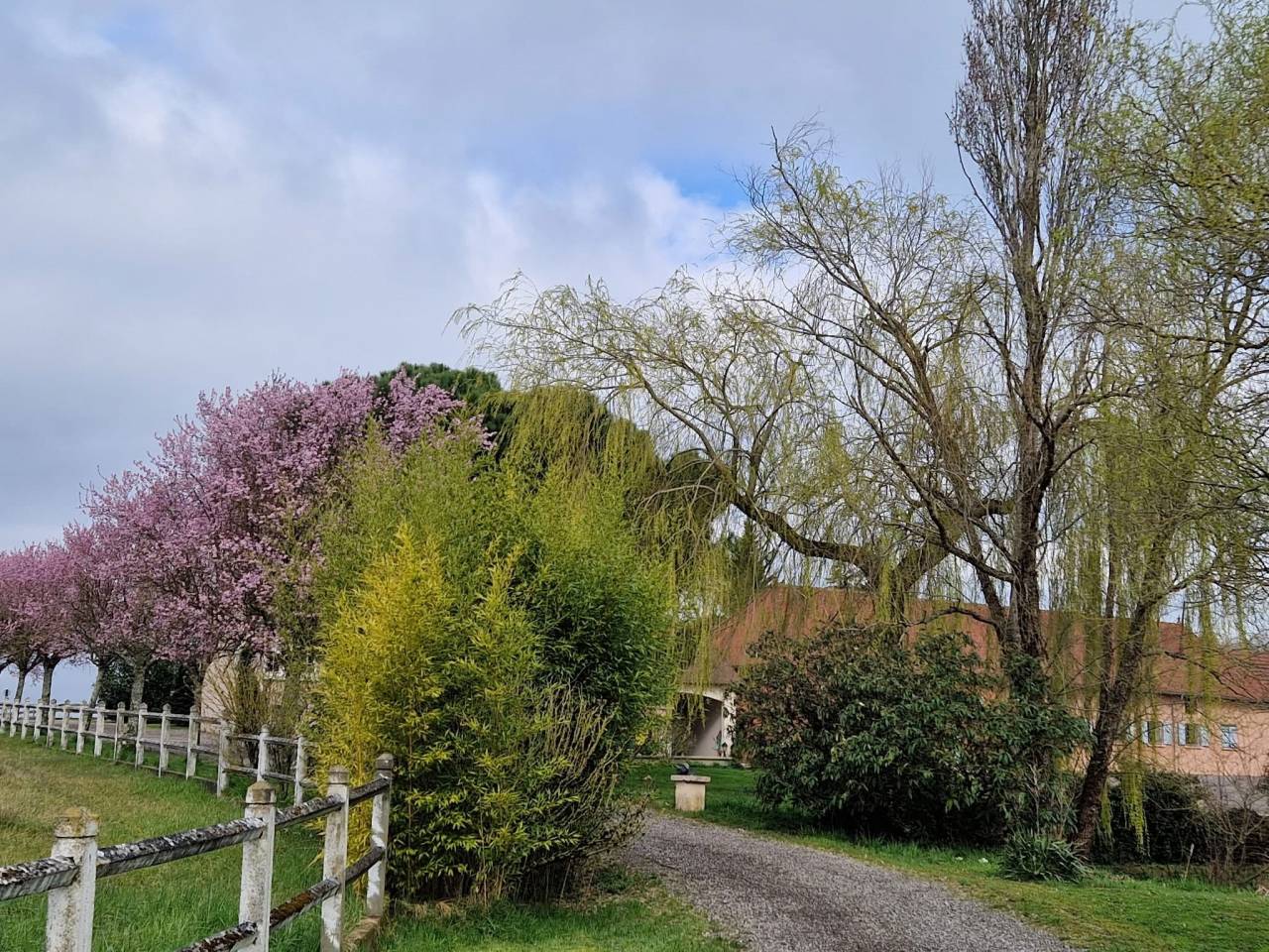 Stud farm  Sa&ocirc;ne-et-Loire