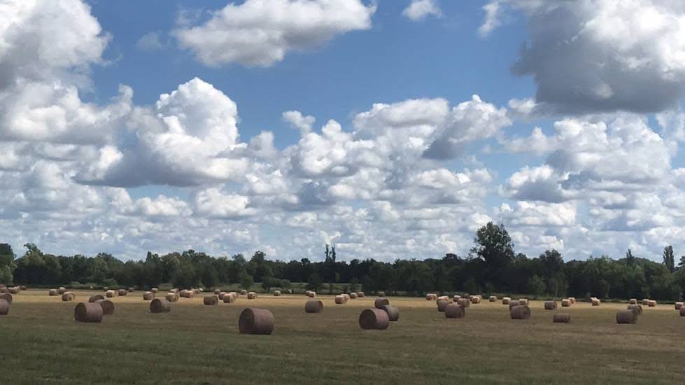 Stud farm  Sa&ocirc;ne-et-Loire