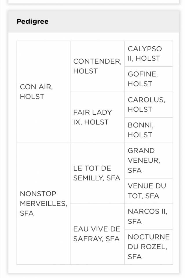 Mare Selle Fran&ccedil;ais For sale 2014 Bay