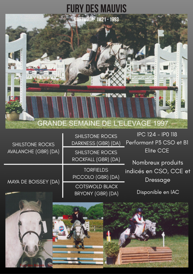 Fury des Mauvis - Dartmoor 1993 by SHILSTONE ROCKS AVALANCHE (GBR)