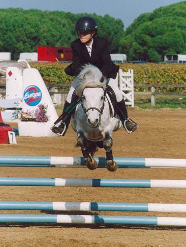 Fury des Mauvis - Dartmoor 1993 by SHILSTONE ROCKS AVALANCHE (GBR)