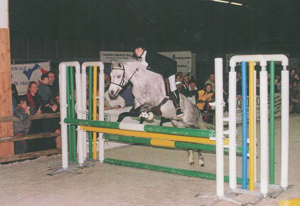 Fury des Mauvis - Dartmoor 1993 by SHILSTONE ROCKS AVALANCHE (GBR)