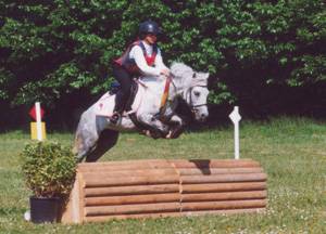 Fury des Mauvis - Dartmoor 1993 by SHILSTONE ROCKS AVALANCHE (GBR)
