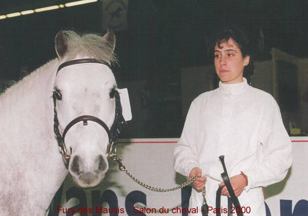 Fury des Mauvis - Dartmoor 1993 by SHILSTONE ROCKS AVALANCHE (GBR)