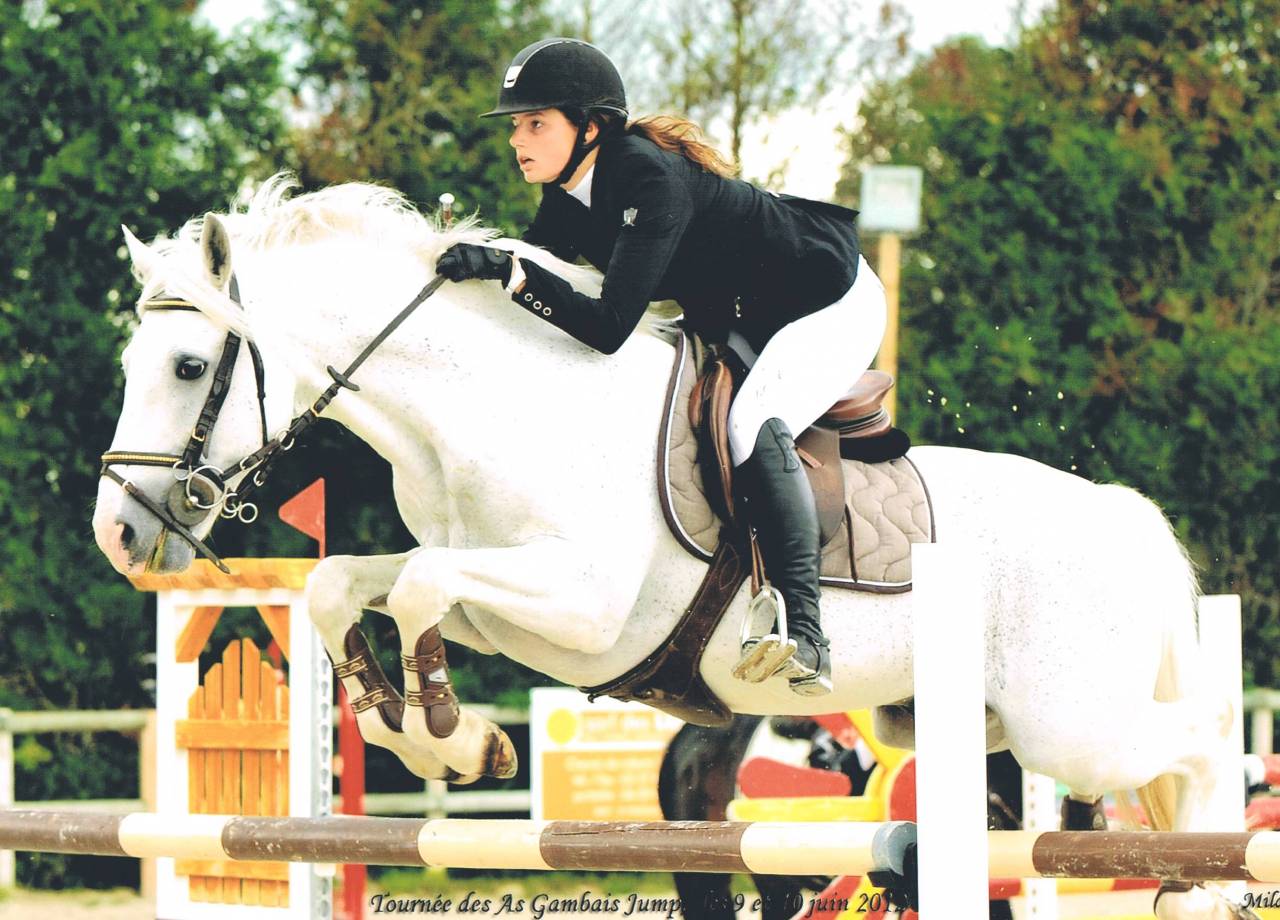 Iwan de Villate - French Saddle Pony 1996 by VVHISKY VIF ARGENT