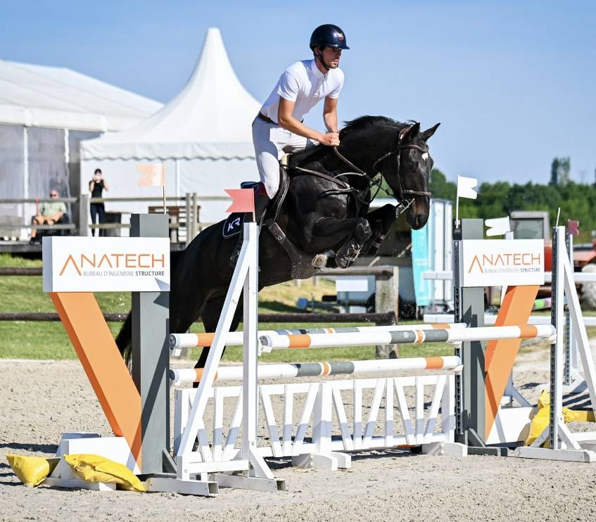 Gelding Zangersheide For sale 2021 Black