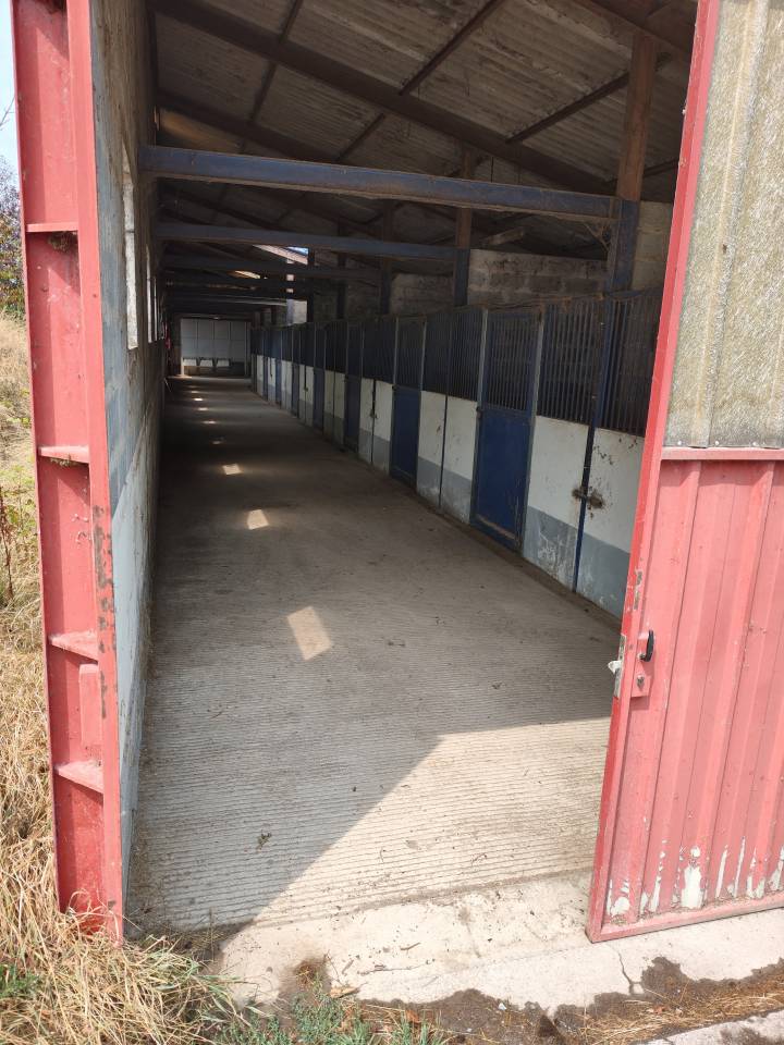 Equestrian property  Allier