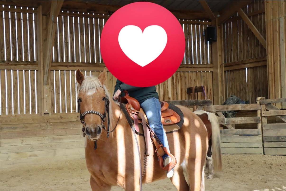 Gelding Quarter For sale 2020 Palomino