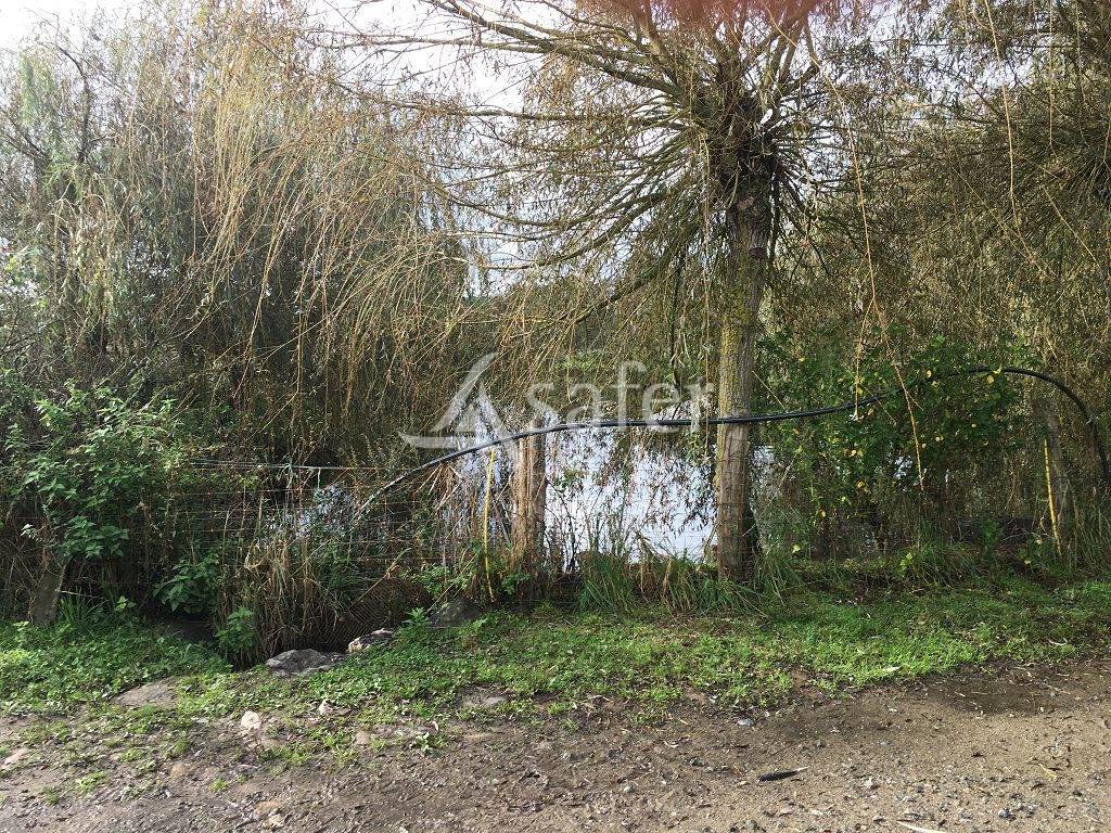 Sheep farm  Haute-Vienne