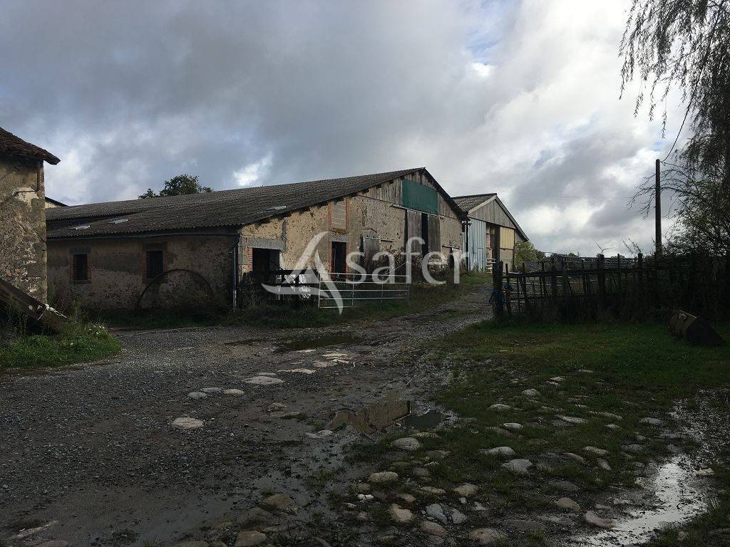 Sheep farm  Haute-Vienne
