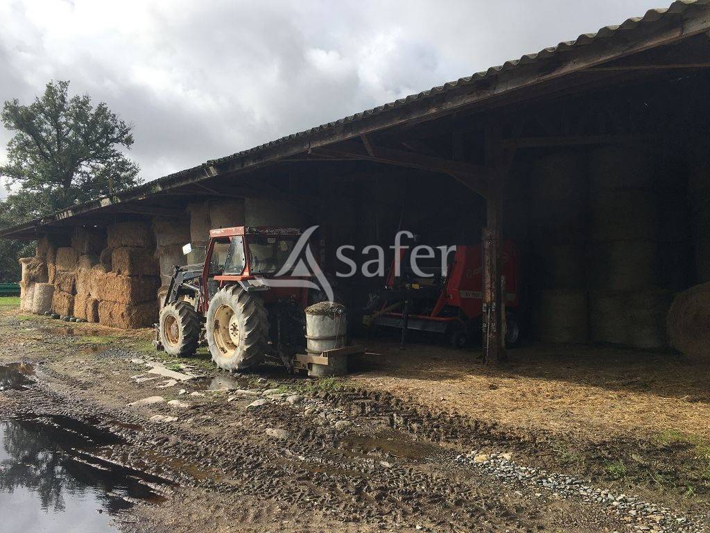 Sheep farm  Haute-Vienne