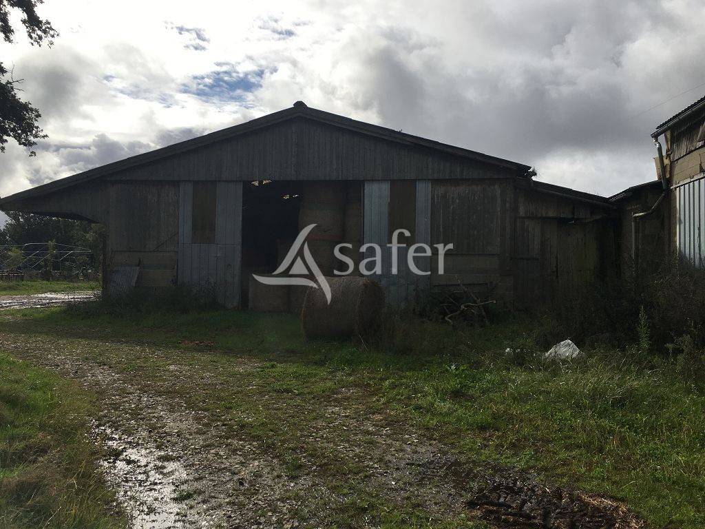 Sheep farm  Haute-Vienne