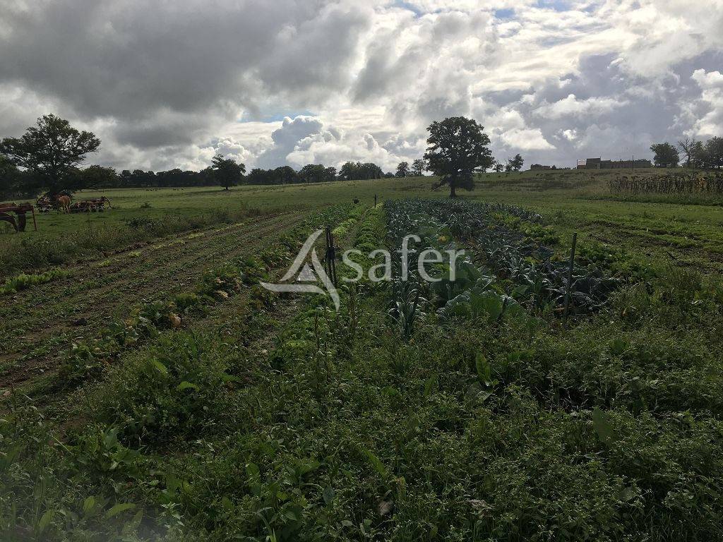 Sheep farm  Haute-Vienne