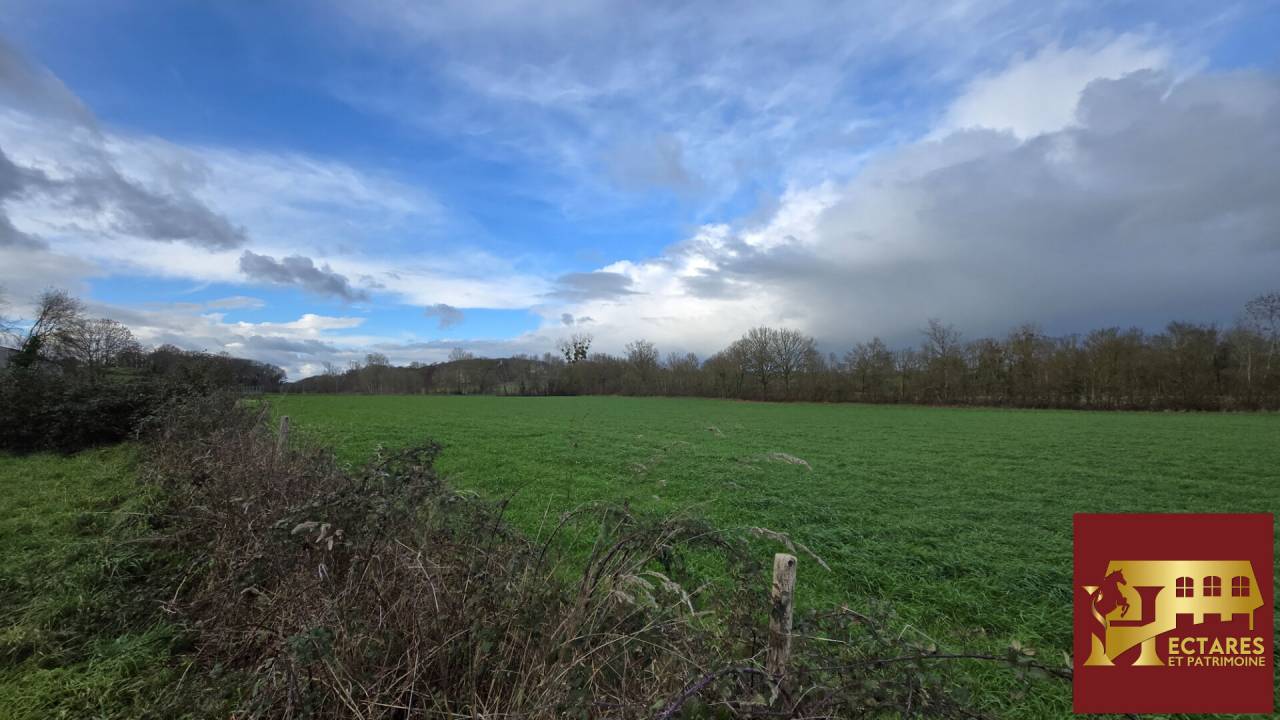 Equestrian property  Maine-et-Loire